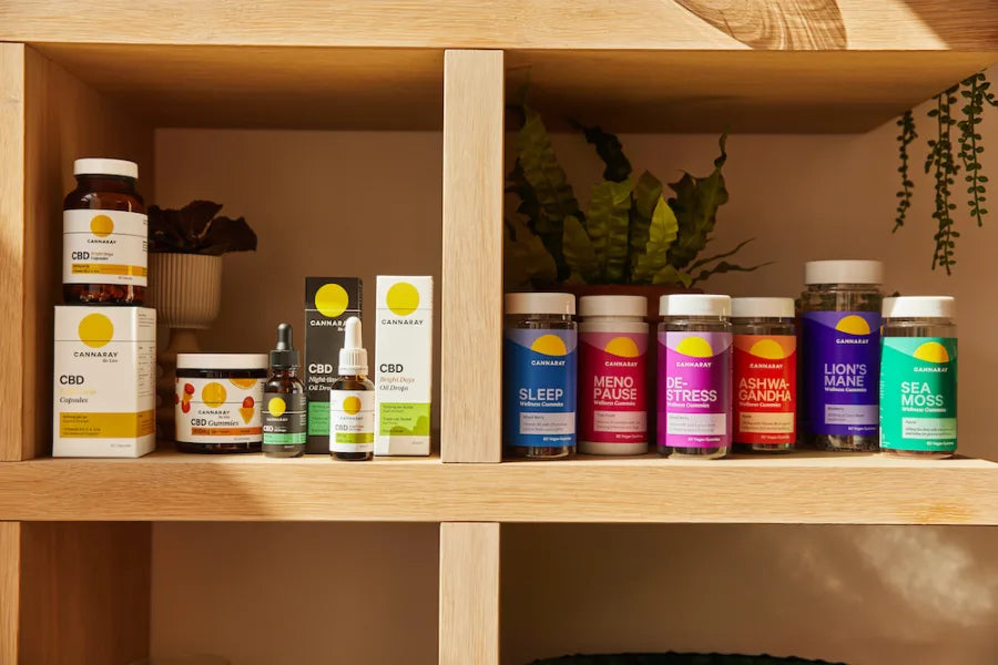 Wellness Trends 2024: The 6 You Need to Know